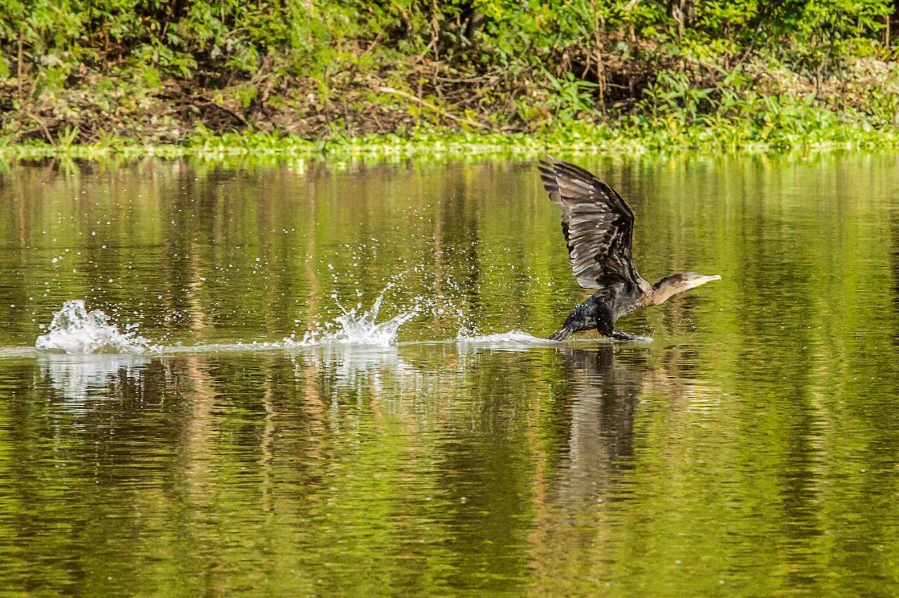 Amazon Muyuna Lodge Paraíso Eksteriør bilde