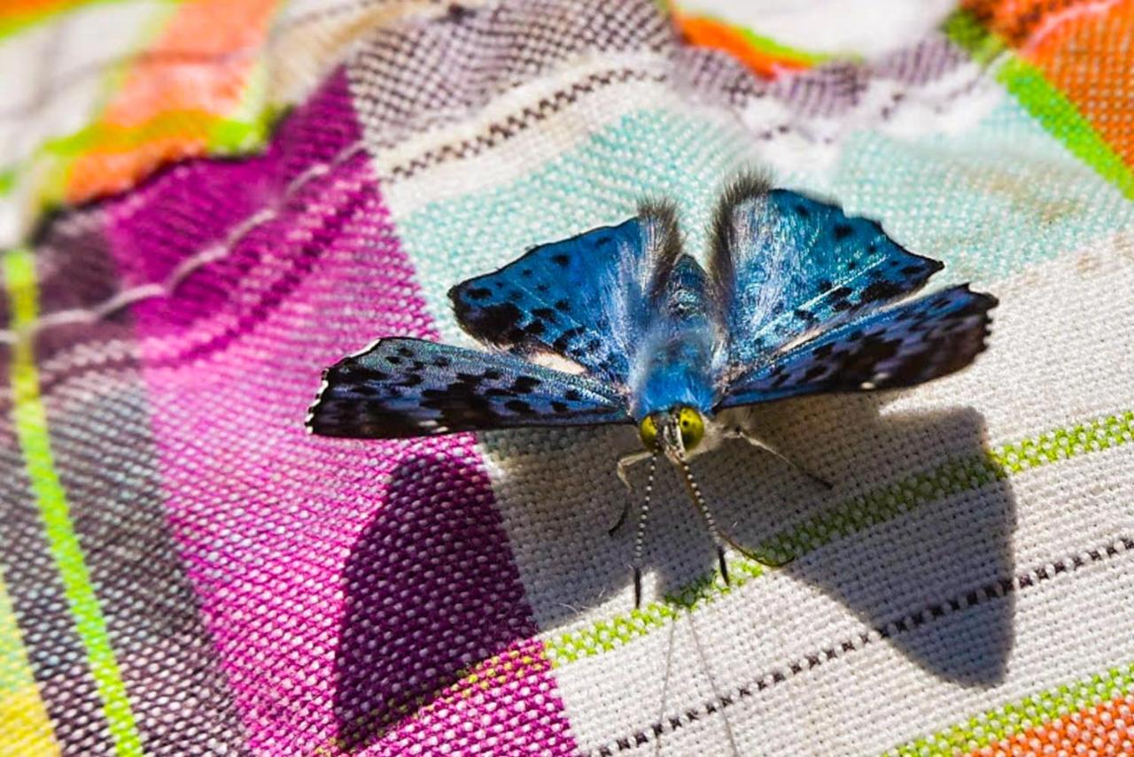 Amazon Muyuna Lodge Paraíso Eksteriør bilde