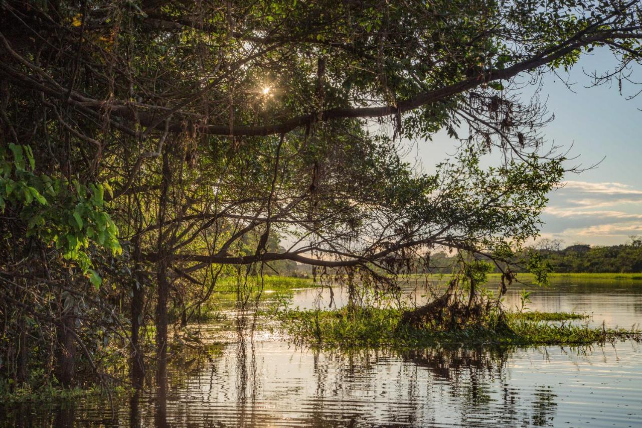 Amazon Muyuna Lodge Paraíso Eksteriør bilde
