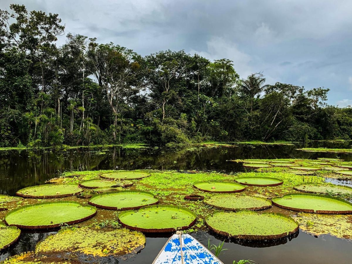 Amazon Muyuna Lodge Paraíso Eksteriør bilde